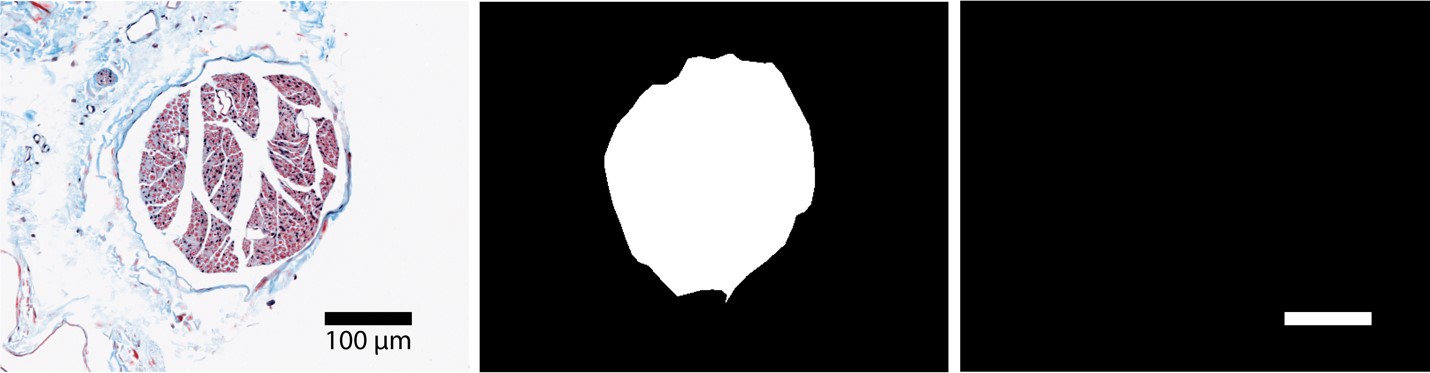 Inline image