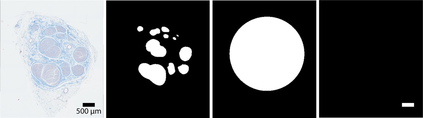 Inline image